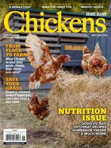 chickens 05 06 2025 freemagazines.top