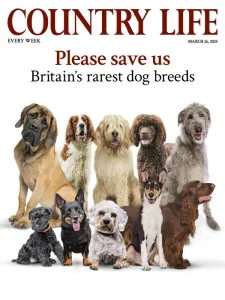 Country Life UK – March 26, 2025 Download Magazine PDF