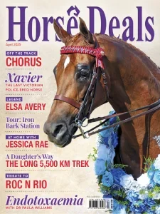 horse deals 04 2025 freemagazines.top
