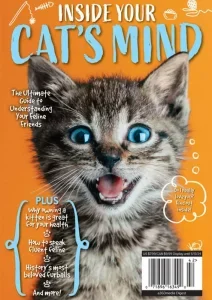 inside your cats mind 4 2024 freemagazines.top