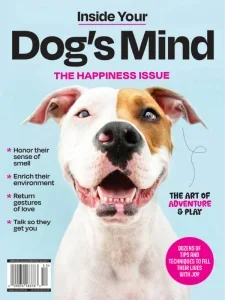 inside your dogs mind 2025 freemagazines.top