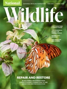 national wildlife spring 2025 freemagazines.top