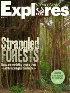 science news explores 04 2025 freemagazines.top