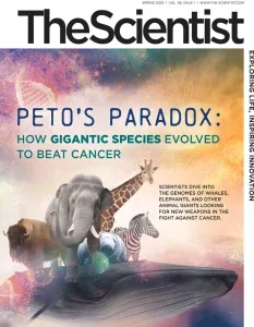the scientist spring 2025 freemagazines.top