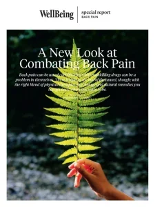wellbeing combating back pain 2025 freemagazines.top