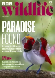 bbc wildlife april 2025 freemagazines.top