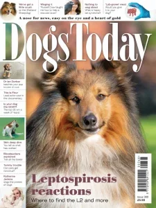 dogs today uk i368 2025 freemagazines.top