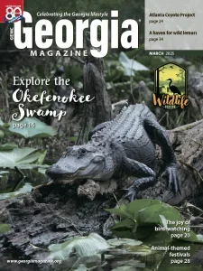 georgia 03 2025 freemagazines.top