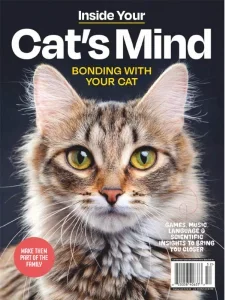 inside your cats mind bonding with your cat 2025 freemagazines.top