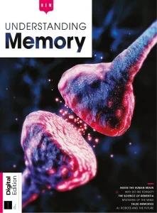 understanding memory 1st edition 2025 freemagazines.top