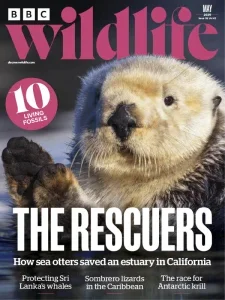 bbc wildlife 05 2025 freemagazines.top