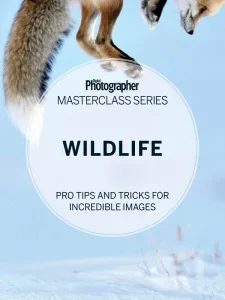 Digital Photographer Masterclass Series – Wildlife Download Magazine PDF