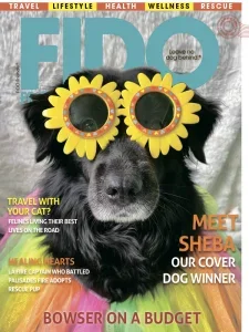 fido friendly spring 2025 freemagazines.top