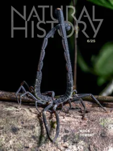 natural history 06 2025 freemagazines.top