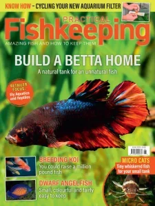 practical fishkeeping 06 2025 freemagazines.top