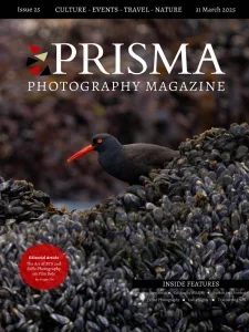 prisma photography i25 31 03 2025 freemagazines.top