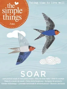 the simple things 06 2025 freemagazines.top