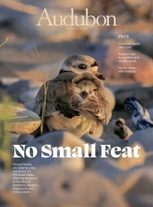 Audubon – Summer 2025 Download Magazine PDF