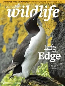 canadian wildlife 07 08 2025 freemagazines.top
