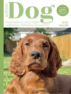 edition dog i80 2025 freemagazines.top