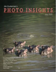 photo insights 07 2025 freemagazines.top