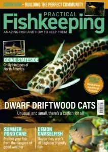 Practical Fishkeeping – July 2025 Download Magazine PDF