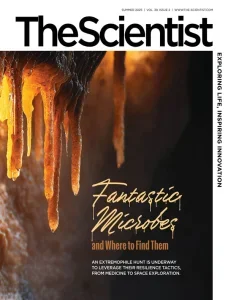the scientist summer 2025 freemagazines.top