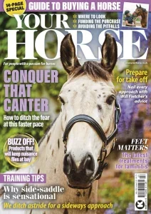 Your Horse – Issue 532, July 2025 Download Magazine PDF