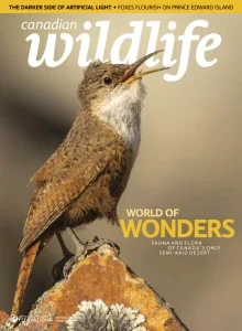 Canadian Wildlife – September/October 2025 Download Magazine PDF