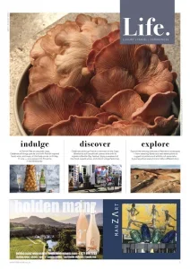 Franschhoek Life – July/August 2025 Download Magazine PDF