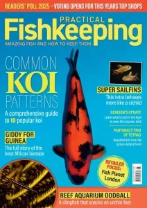 Practical Fishkeeping – August 2025 Download Magazine PDF