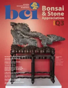 bci bonsai stone appreciation 07 09 2025 freemagazines.top