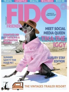 FIDO Friendly – Summer 2025 Download Magazine PDF
