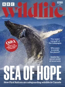 BBC Wildlife Magazine – October 2025 Download Magazine PDF