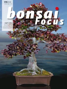 Bonsai Focus – September/October 2025 Download Magazine PDF