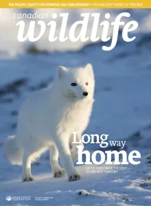 Canadian Wildlife – November/December 2025 Download Magazine PDF