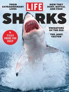 LIFE – Sharks 2025 Download Magazine PDF