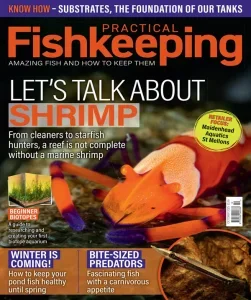 Practical Fishkeeping – October 2025 Download Magazine PDF