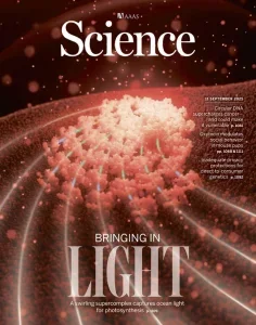 Science – Volume 389 Issue 6765, 11 September 2025 Download Magazine PDF