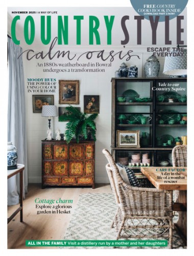 Country Style – November 2025 Download Magazine PDF