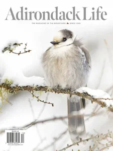 Adirondack Life – November/December 2025 Download Magazine PDF