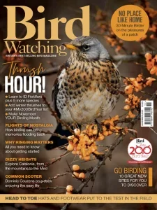 bird watching uk 11 2025 freemagazines.top
