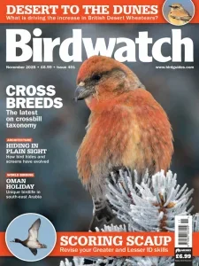 Birdwatch UK – November 2025 Download Magazine PDF