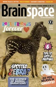 Brainspace – October/November 2025 Download Magazine PDF