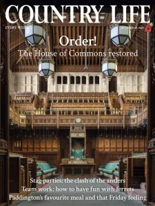 Country Life UK – October 29, 2025 Download Magazine PDF