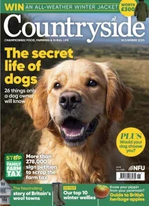 Countryside – November 2025 Download Magazine PDF