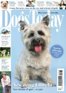 Dogs Today UK – Issue 373 2025 Download Magazine PDF