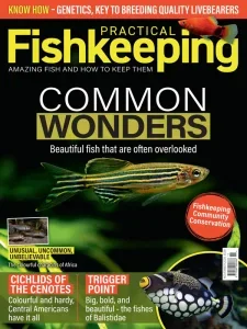 Practical Fishkeeping – November 2025 Download Magazine PDF