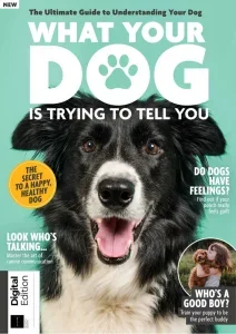 What Your Dog is Trying to Tell You – 7th Edition 2025 Download Magazine PDF