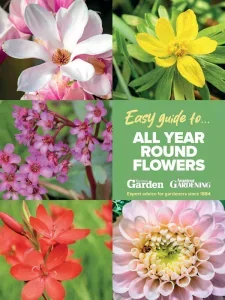 Amateur Gardening Easy Guide To – All Year Round Flowers 2025 Download Magazine PDF